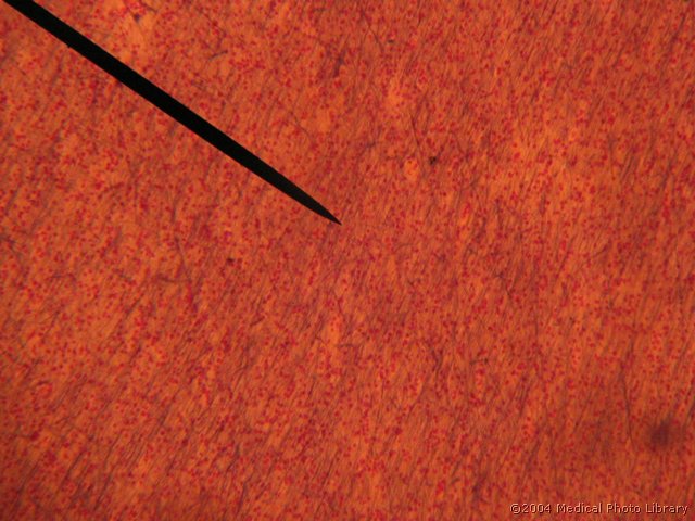 D126.jpg