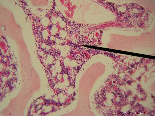 D719.JPG