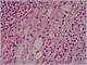 072 6 Oksifilne celice.jpg