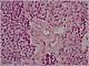 072 7 Oksifilne celice.jpg