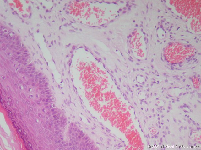 68 4.jpg