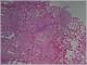 52 2.jpg